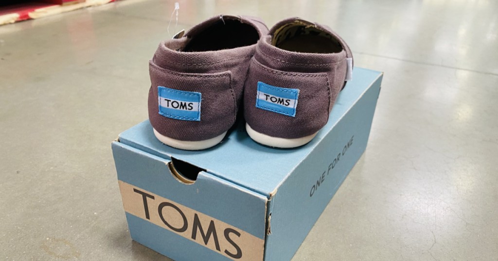 dark wine colored pair of toms womans canvas slides on box