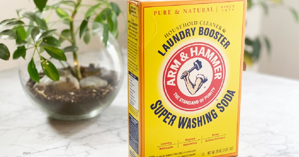 Arm & Hammer Super Washing Soda box next to plant