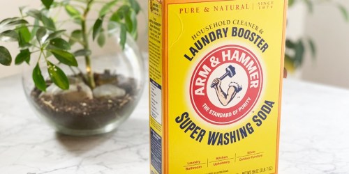 Arm & Hammer Super Washing Soda Just $4.52 Shipped on Amazon | Over 36,000 5-Star Ratings