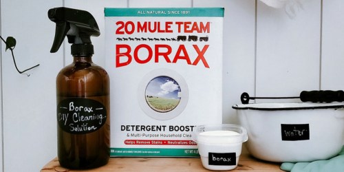 FOUR Borax Detergent Booster 4-Pound Boxes Just $12 Shipped on Amazon | Only $3 Per Box