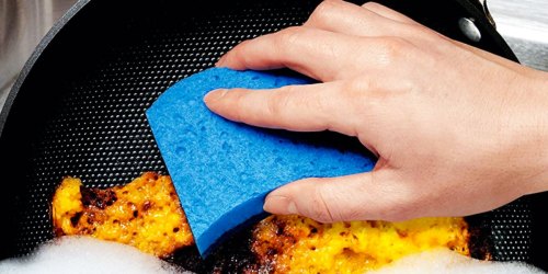 Scotch-Brite Sponges 6-Pack Only $5.67 Shipped on Amazon (Regularly $10)