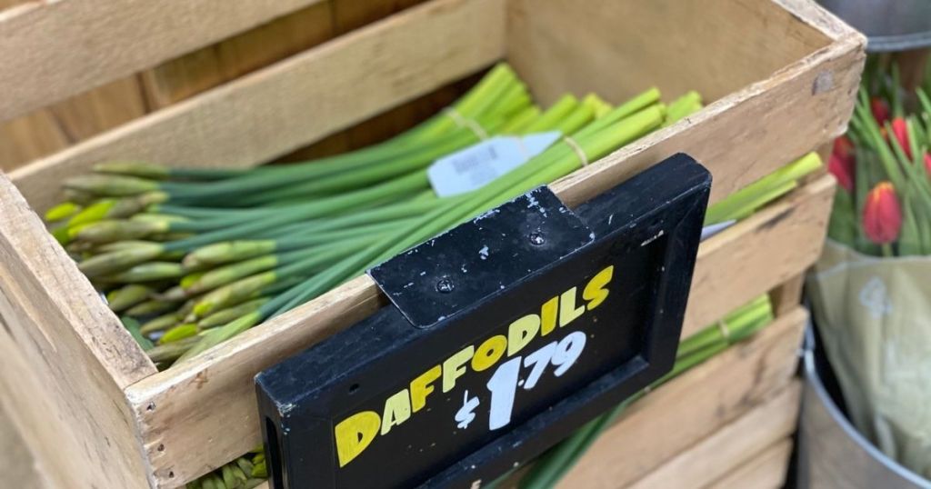 Trader Joe's Daffodils in a crate with sign