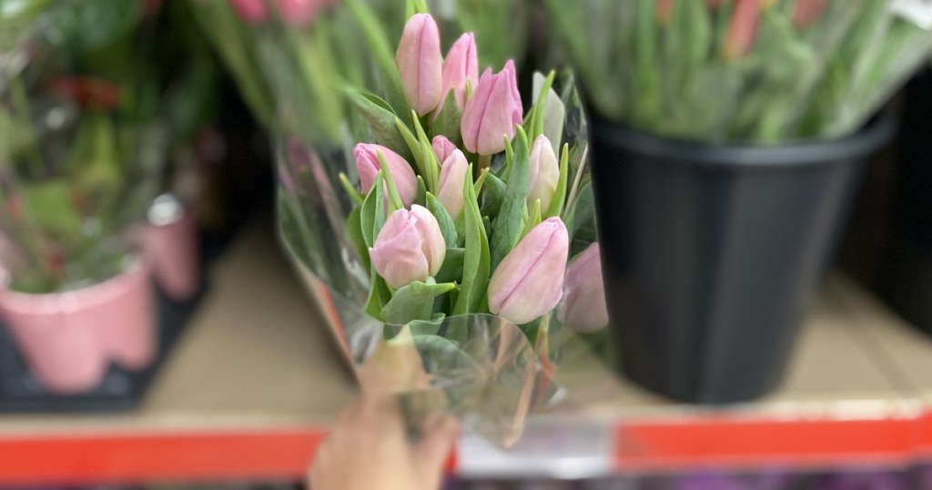 hand holding a fresh bouquet of tulips at ALDI