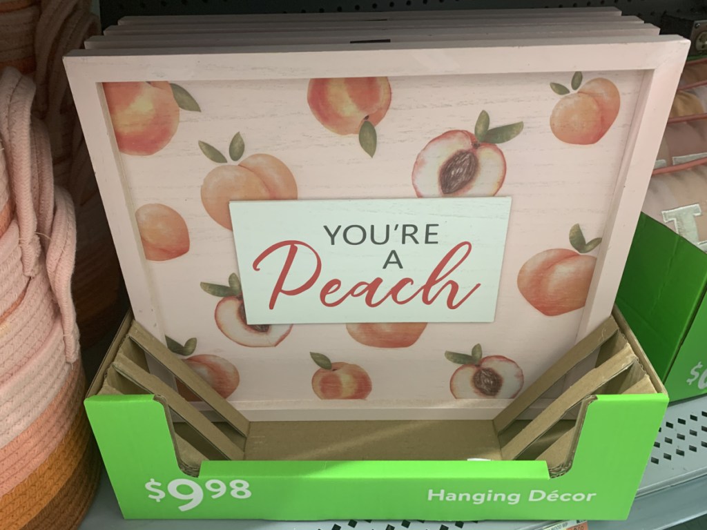 Peach themed hanging wall art