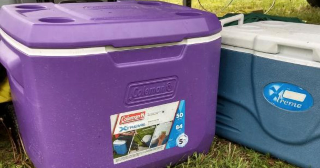 purple coleman cooler