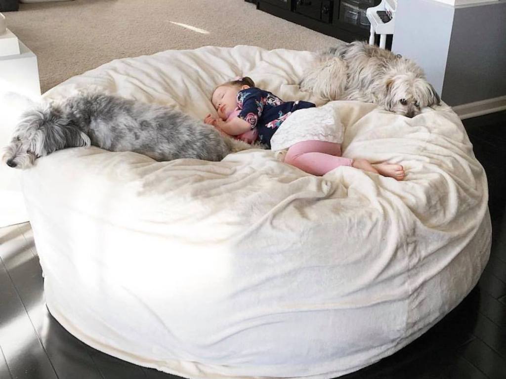 baby girl and two dogs asleep on giant white lovesac bean bag chair dupe