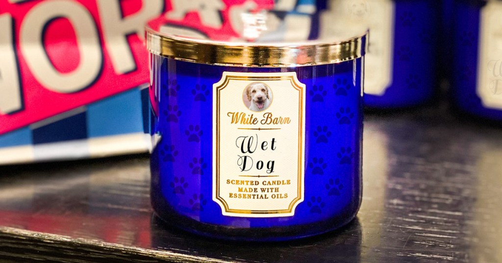 Bath Body Works Wet Dog Candle Main