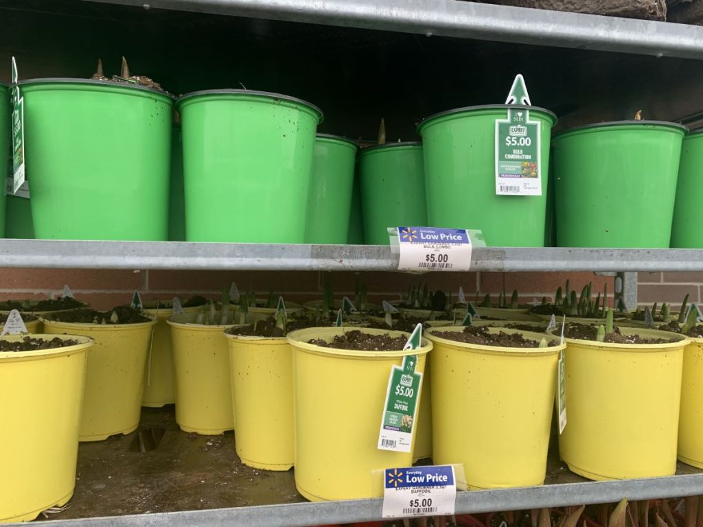 flowers on the shelf at Walmart