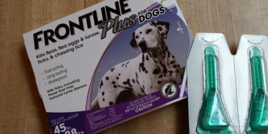 EXTRA 50% Off Flea, Tick & Heartworm Medicines from 1-800 PetMeds