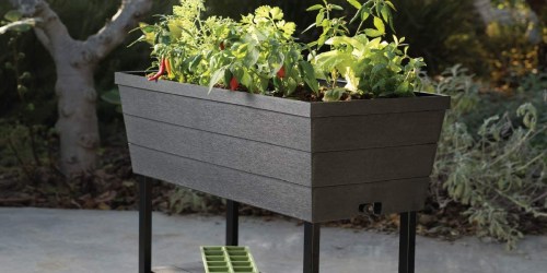 Keter Raised Garden Bed Only $69.98 on HomeDepot.com