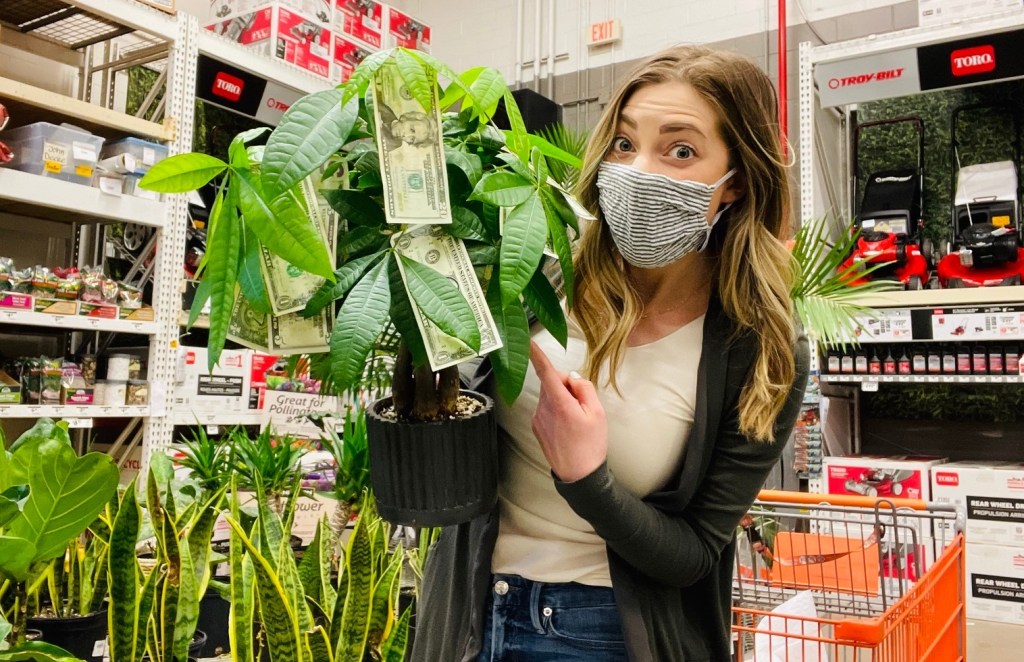 woman holding money tree in store with real cash on it