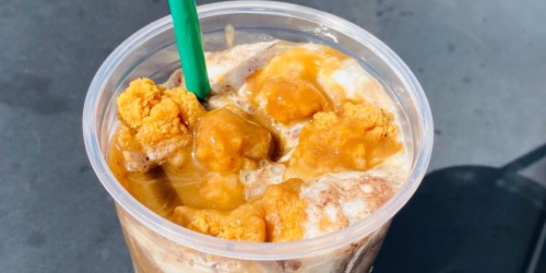 Try the New Salted Gravy Chicken Frapp at Starbucks (Mobile Order Friendly!)