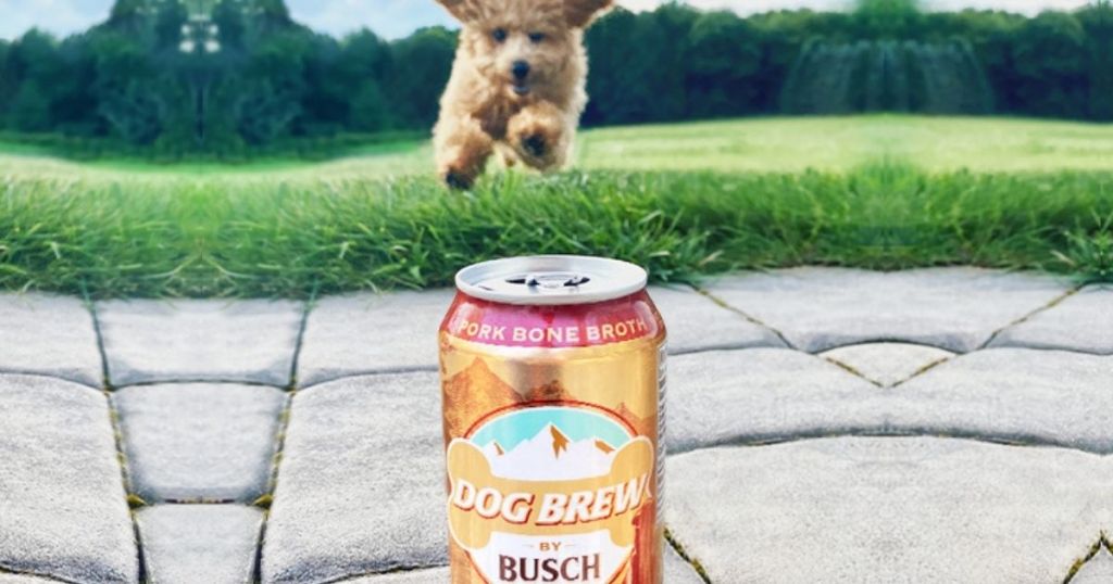 Busch Dog Brew