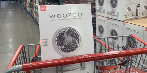 Woozoo 5-Speed Globe Fan Only $24.99 at Costco | Available Now