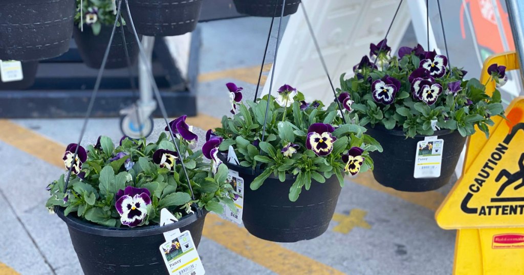 hanging flower baskets at home depot