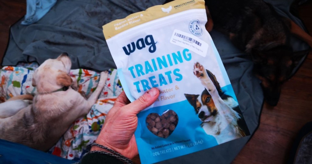 hand holding bag of dog training treats and dog sitting on floor in background