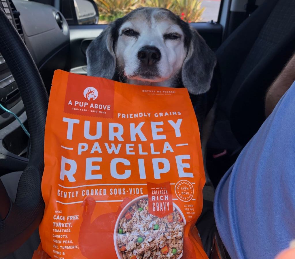 dog with head over orange bag of dog food delivered