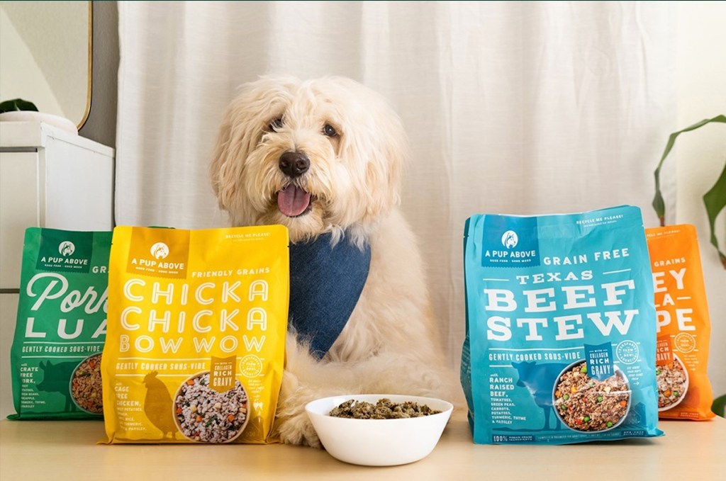 dog sitting in middle of colorful bags of dog food on table