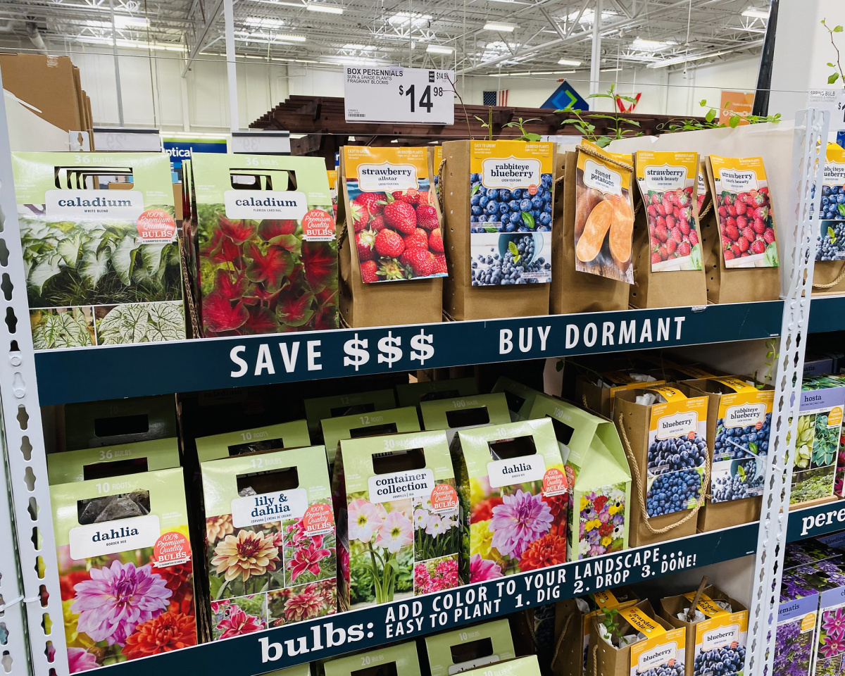 flowers at sams in store
