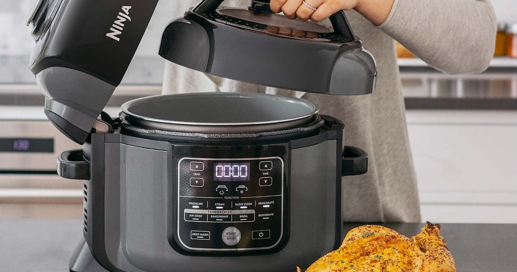ninja foodi w/ dehydrator