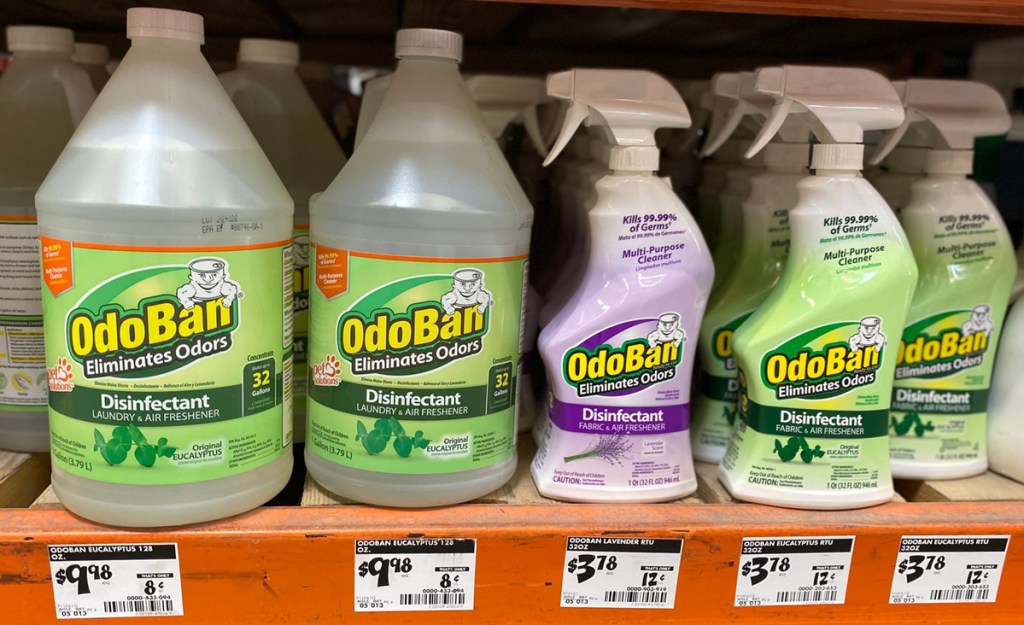 odoban cleaner at home depot