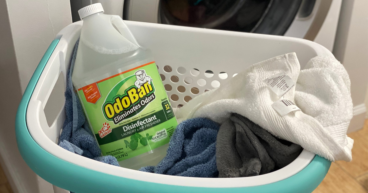 odoban disinfectant in laundry basket