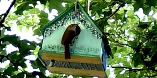 Ready-to-Paint Wooden Birdhouses Only $3 on Michaels.com (Regularly $6)