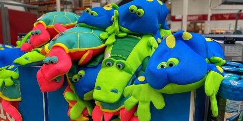 Big Joe Pool Petz Just $29.99 at Costco or Target