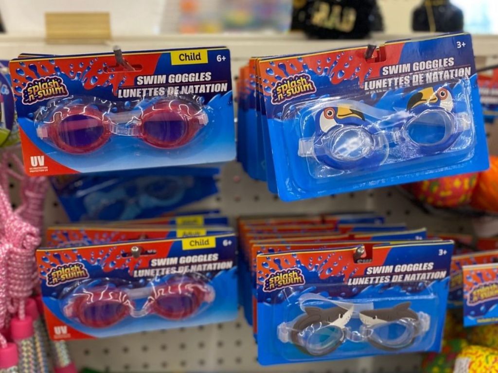 Dollar Tree Goggles