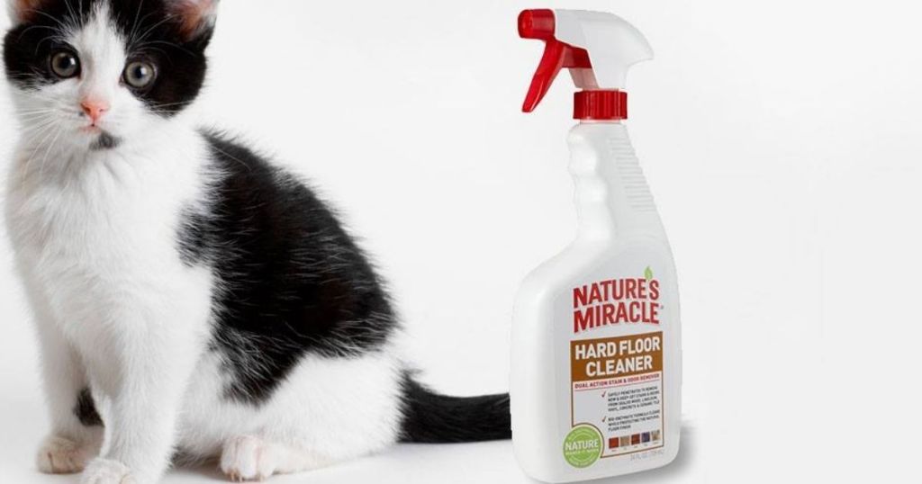Nature's Miracle Floor Cleaner bottle next to a cat