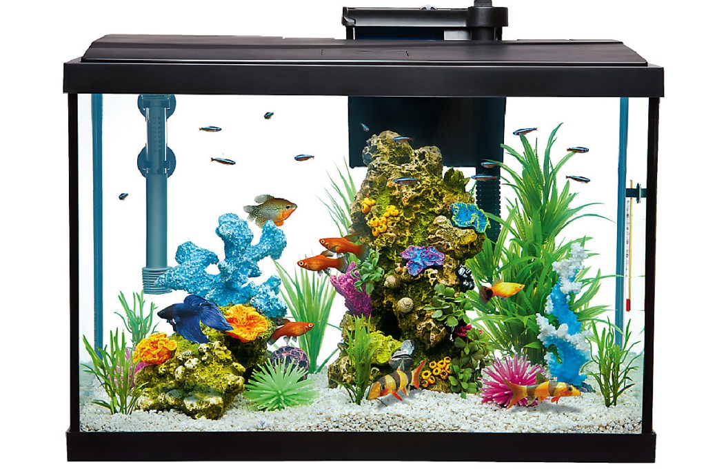 aquarium