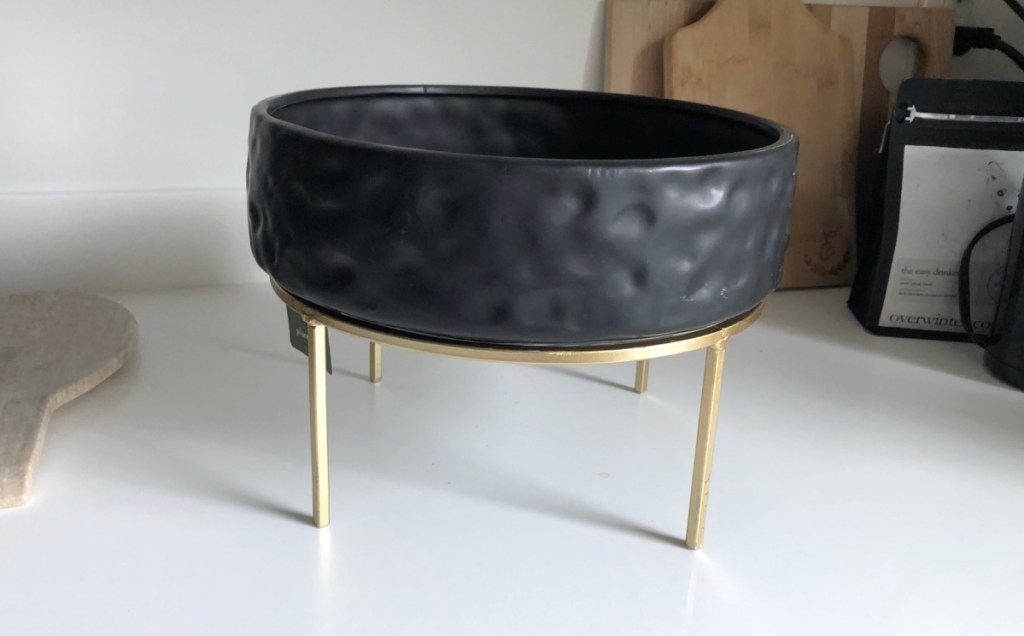 black ceramic planter on stand