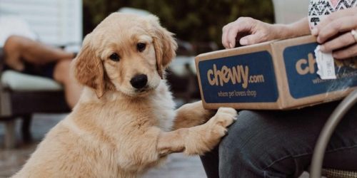 ** $50 Chewy eGift Card Only $45 Delivered