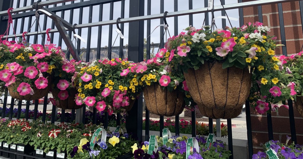 flowers at walmart