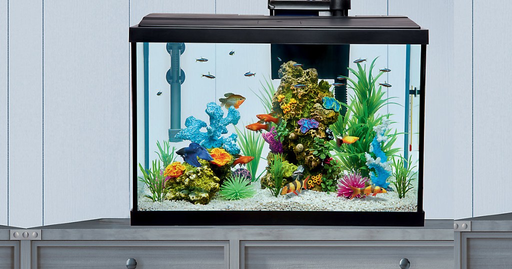 top fin aquarium