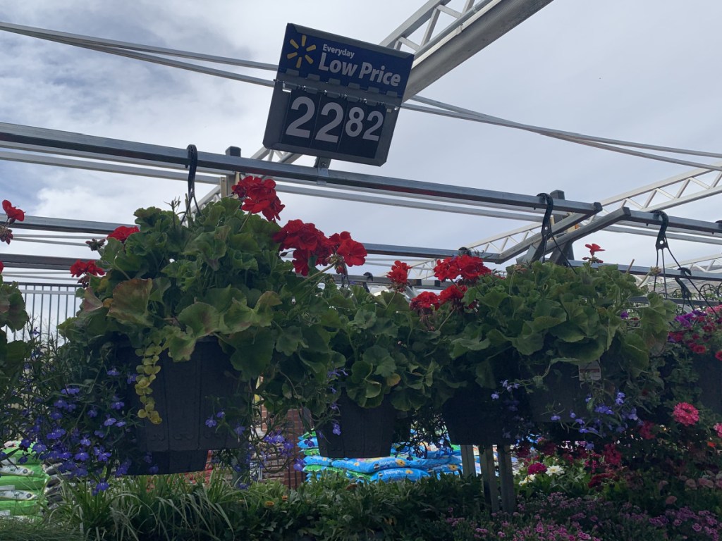 walmart hanging flower baskets in store