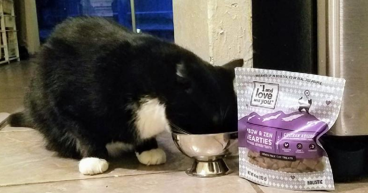 cat eating i and love and you cat treats