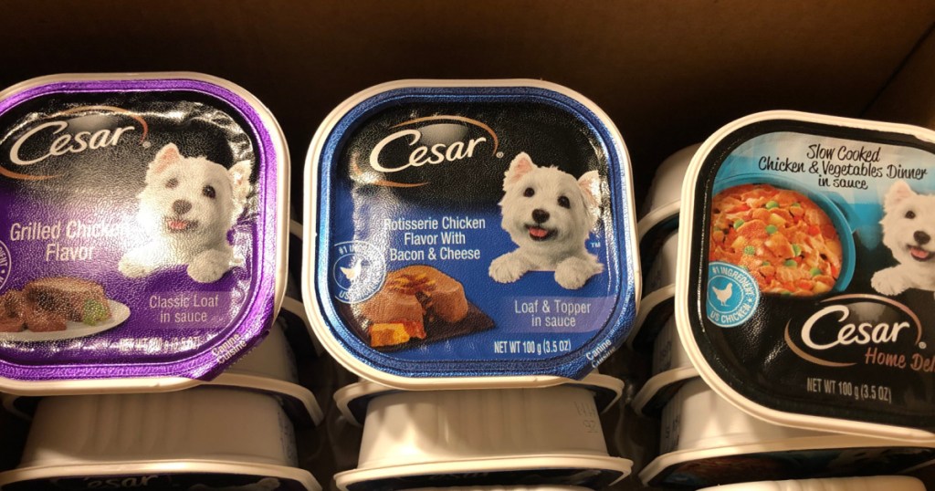 Cesar Wet Dog Food