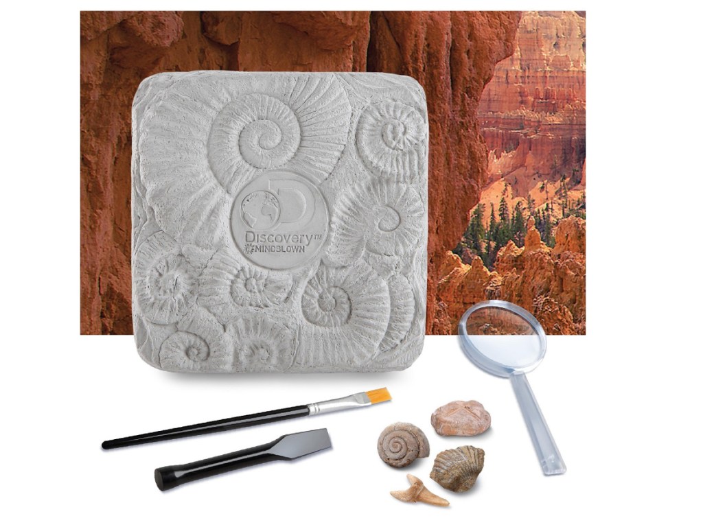 fossil digging kids kit