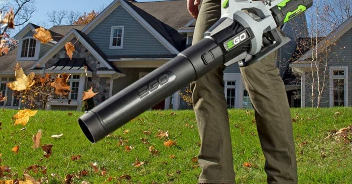 man using leaf blower on lawn