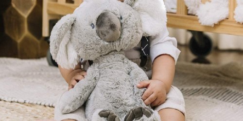 GUND Baby Koala Plush Only $10.37 on Amazon (Regularly $18)