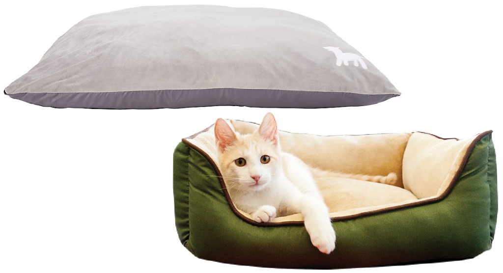 Pet Beds from Petsmart