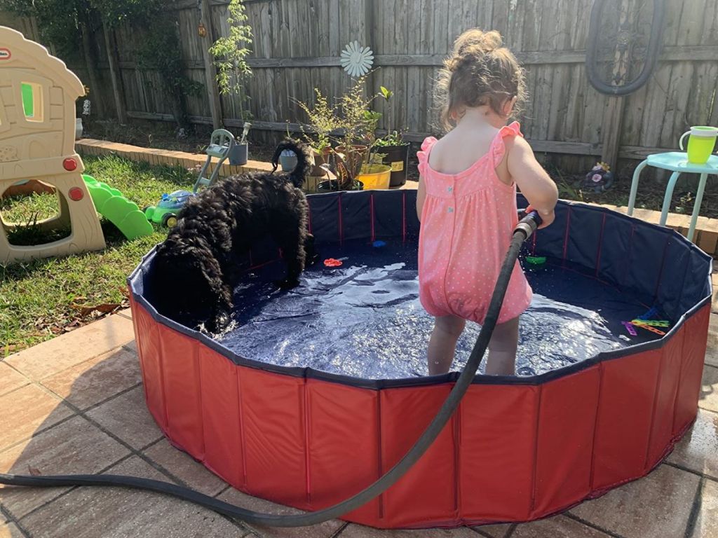 girl and a dog in a pool