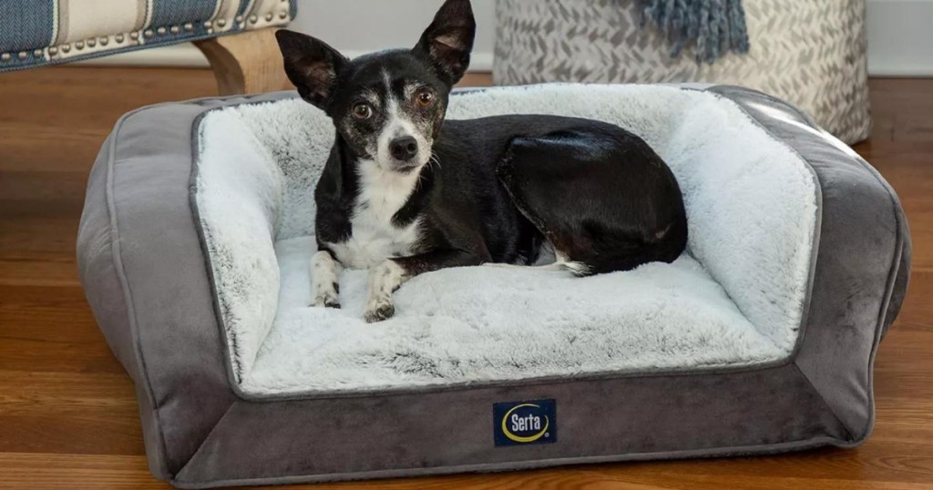 dog laying on serta memory foam pet bed