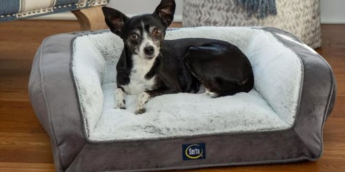 Serta Memory Foam Pet Bed Just $14.98 on SamsClub.com