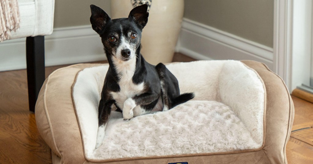 dog laying on serta memory foam pet bed