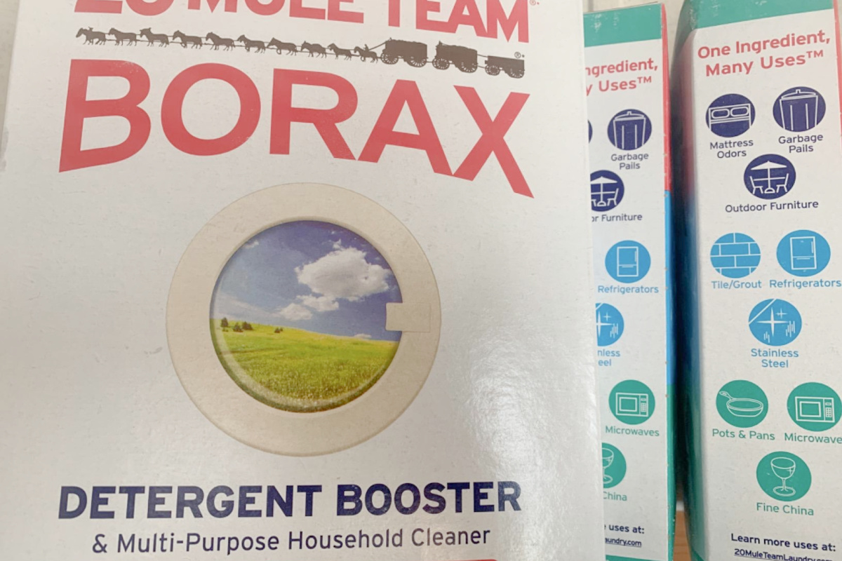 how to kill ants with box of borax cleaner 