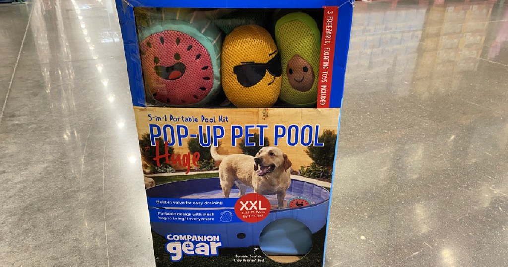 pop up pet pool in a box with toys on a store floor