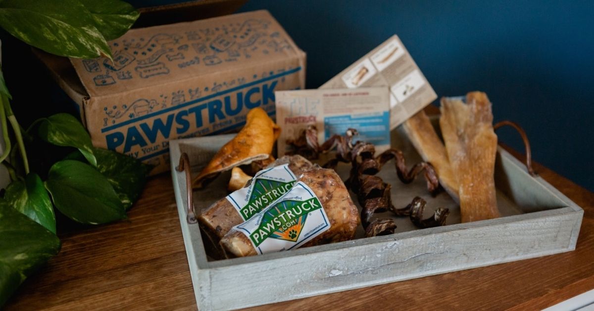 Pawstruck box with goodies on tray in front of box