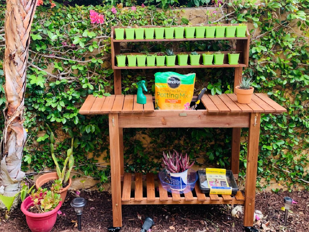 garden area with bench that holds plants